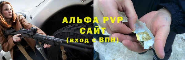 ГАЛЛЮЦИНОГЕННЫЕ ГРИБЫ Абаза
