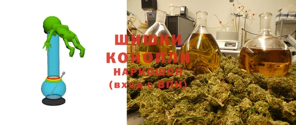 ГАЛЛЮЦИНОГЕННЫЕ ГРИБЫ Абаза